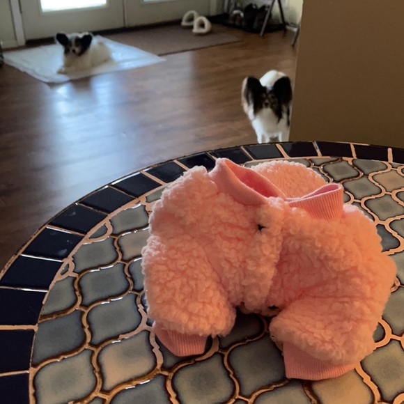 🛑🐶3 FOR $20🛑 - Picture 2 of 4